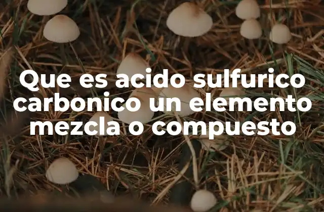 Que es Acido Sulfurico Carbonico un Elemento Mezcla o Compuesto