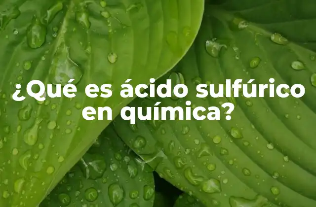 ¿qué es Ácido Sulfúrico en Química?