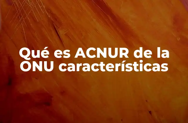 Qué es Acnur de la Onu Características