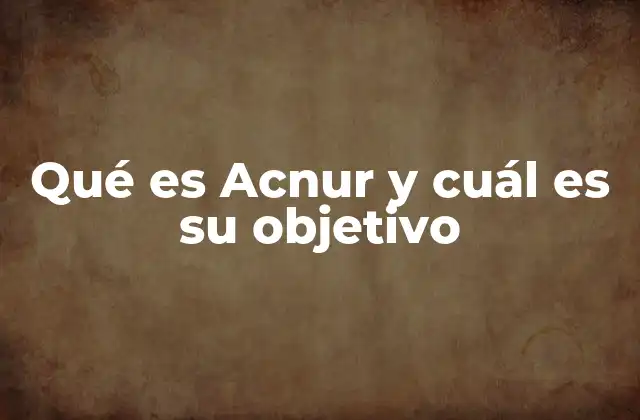 La labor de Acnur en contextos de crisis humanitaria