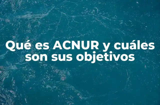Qué es Acnur y Cuáles Son Sus Objetivos