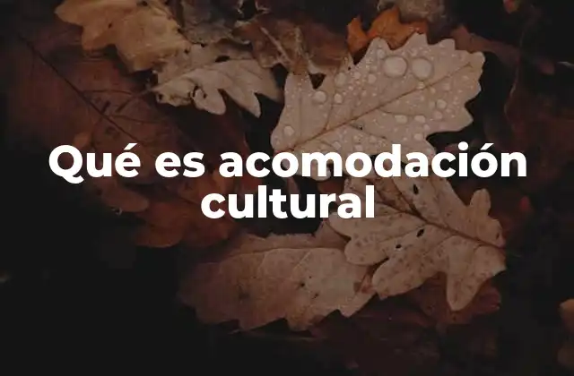 Qué es Acomodación Cultural