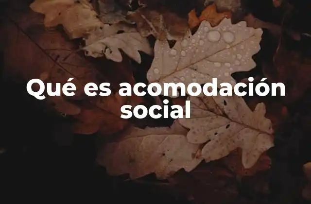 Qué es Acomodación Social