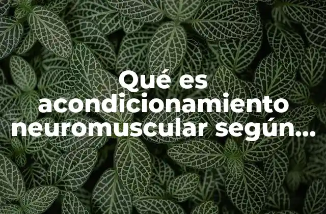 Qué es Acondicionamiento Neuromuscular según Autores
