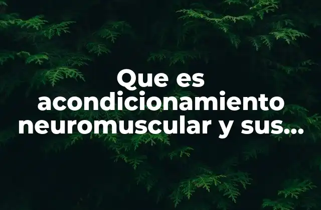 Que es Acondicionamiento Neuromuscular y Sus Tipos