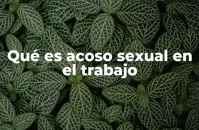 Qué es Acoso Sexual en el Trabajo
