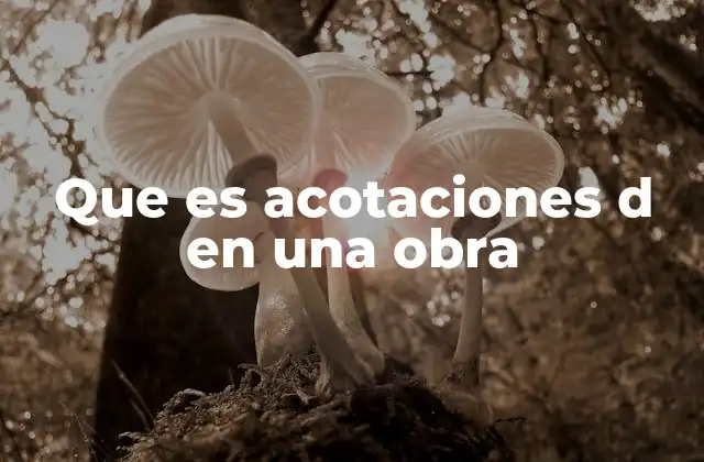 Que es Acotaciones D en una Obra