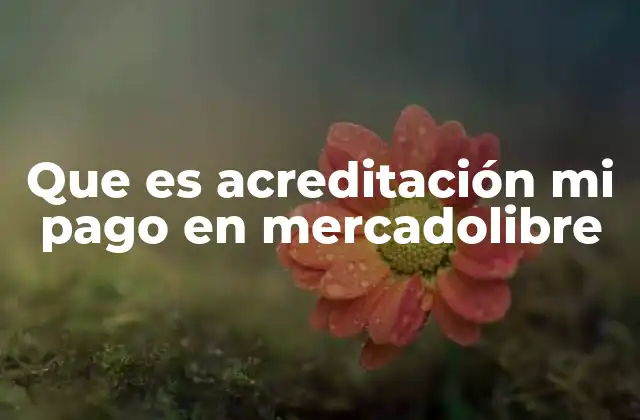 Que es Acreditación Mi Pago en Mercadolibre 2 El rol de la acreditación en el ecosistema de MercadoLibre