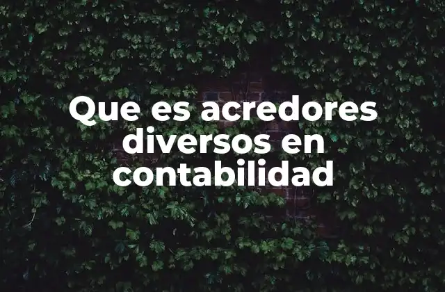 Que es Acredores Diversos en Contabilidad