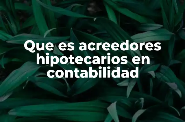 Que es Acreedores Hipotecarios en Contabilidad