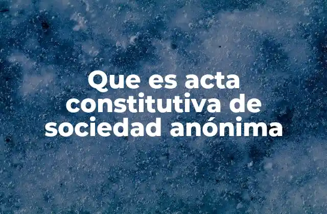 Que es Acta Constitutiva de Sociedad Anónima