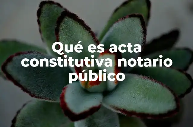 Qué es Acta Constitutiva Notario Público