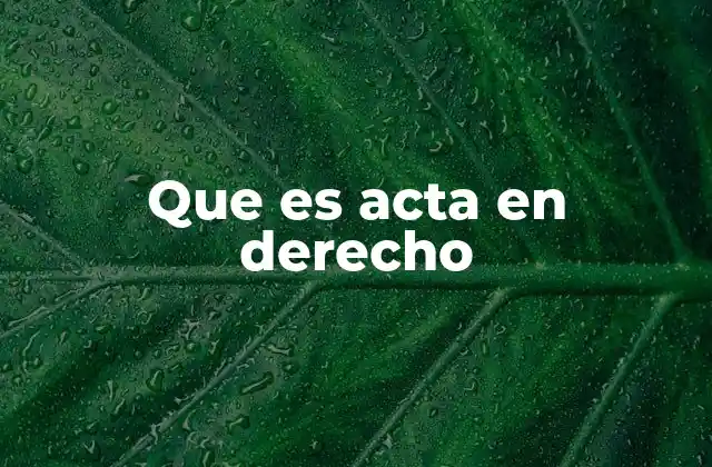 Que es Acta en Derecho