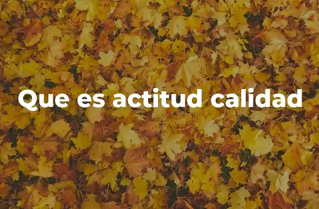 Que es Actitud Calidad
