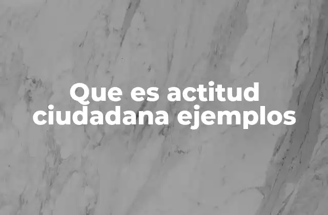 Que es Actitud Ciudadana Ejemplos