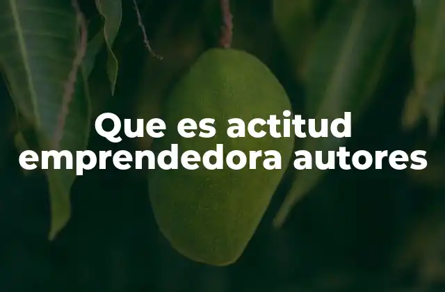 Que es Actitud Emprendedora Autores