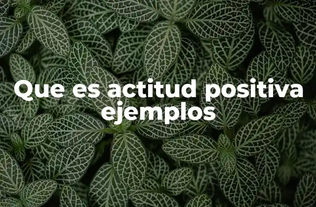 Que es Actitud Positiva Ejemplos