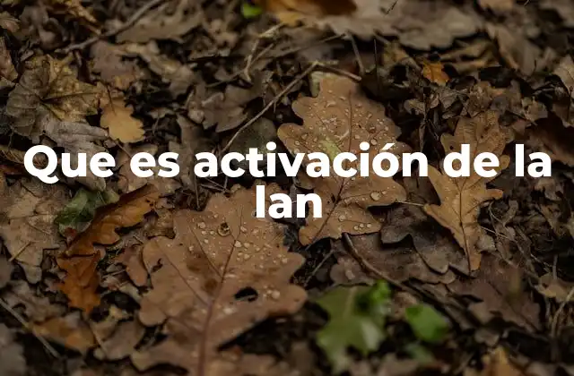 Que es Activación de la Lan