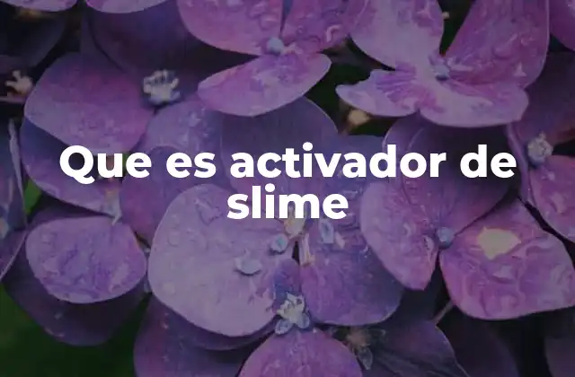 Que es Activador de Slime 2 El papel del activador en la formación del slime