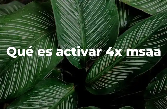 Qué es Activar 4x Msaa