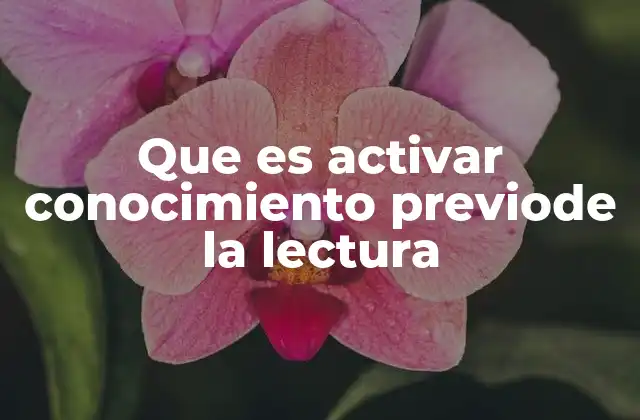 La importancia de la preparación mental antes de leer