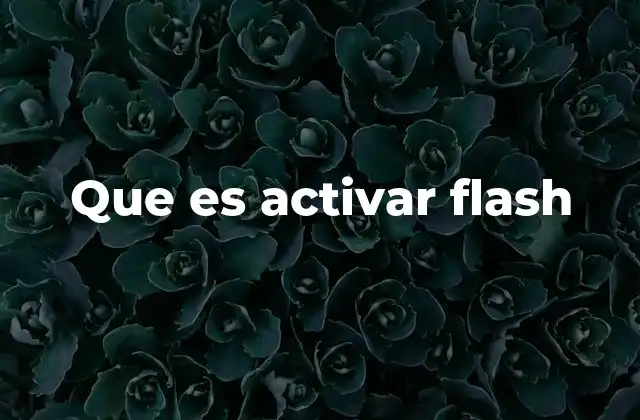 Que es Activar Flash 2 El papel de Flash en la historia de internet