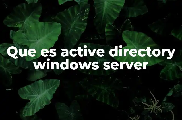 Que es Active Directory Windows Server 2 Funcionalidades del directorio de Microsoft para redes corporativas