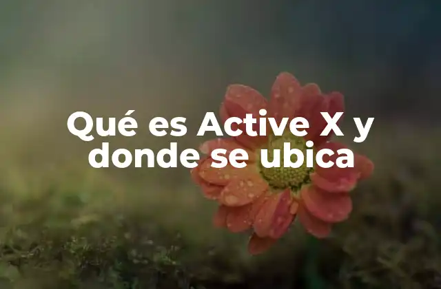 Qué es Active X y Donde Se Ubica