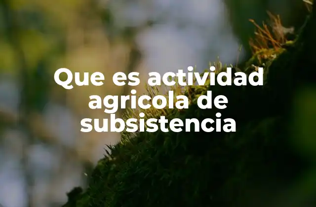 Que es Actividad Agricola de Subsistencia