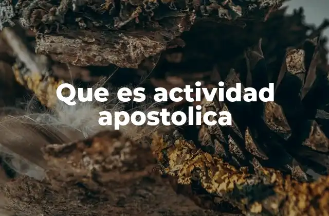 La labor de los creyentes en la sociedad actual