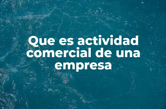Que es Actividad Comercial de una Empresa