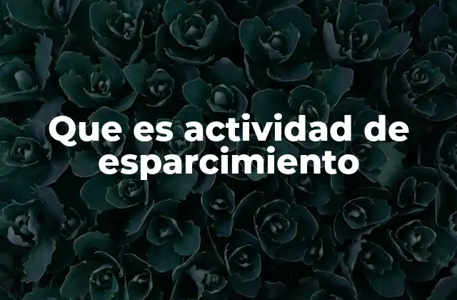 Que es Actividad de Esparcimiento
