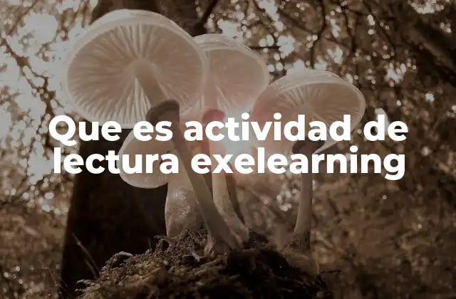 La importancia de las lecturas interactivas en el aula digital