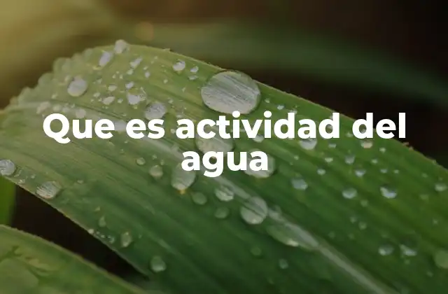 Que es Actividad Del Agua