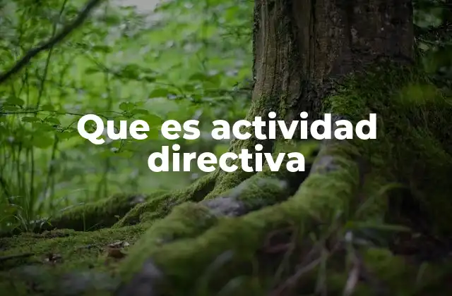 Que es Actividad Directiva
