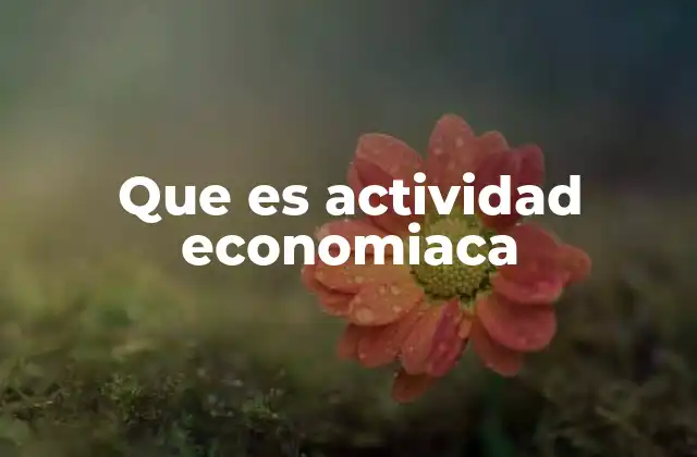 Que es Actividad Economiaca