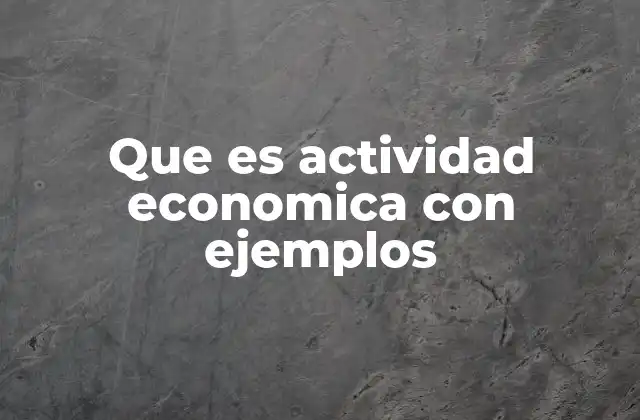 Que es Actividad Economica con Ejemplos