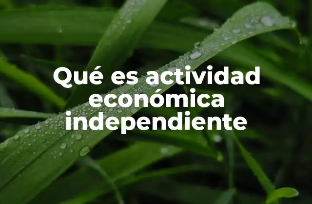 Qué es Actividad Económica Independiente 2 Cómo se diferencia una actividad independiente de otras formas de trabajo