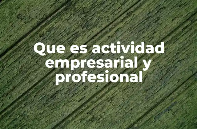 Que es Actividad Empresarial y Profesional