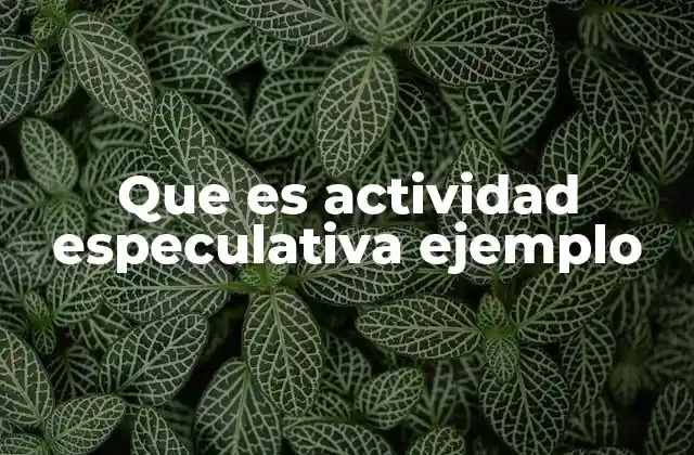 Que es Actividad Especulativa Ejemplo