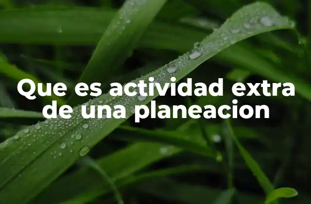 Que es Actividad Extra de una Planeacion 2 Diferencias entre actividades esenciales y extras en una planeación