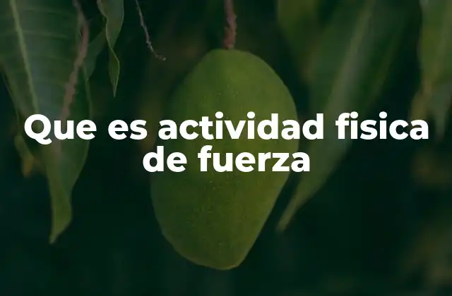 Que es Actividad Fisica de Fuerza