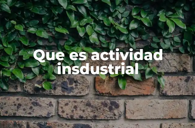 Que es Actividad Insdustrial
