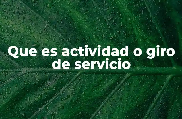 Que es Actividad o Giro de Servicio
