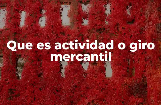 Que es Actividad o Giro Mercantil