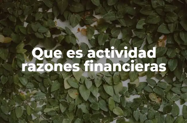 Que es Actividad Razones Financieras
