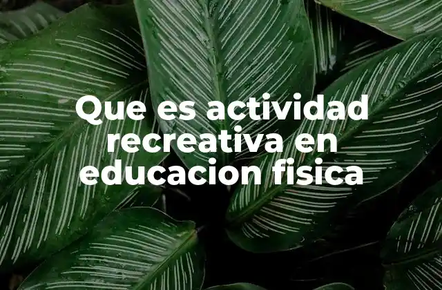 Que es Actividad Recreativa en Educacion Fisica
