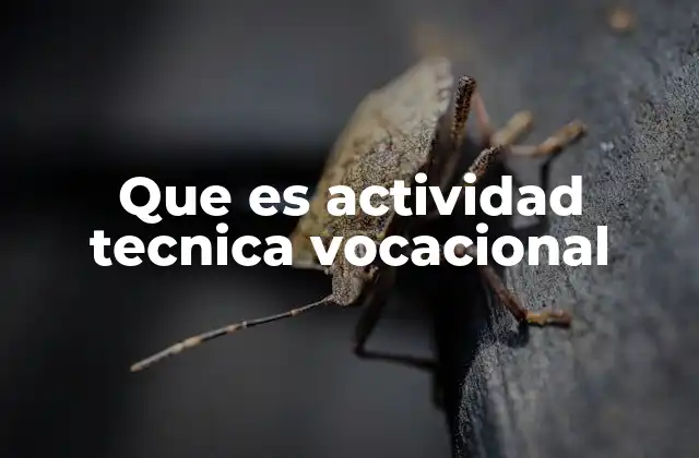 Que es Actividad Tecnica Vocacional