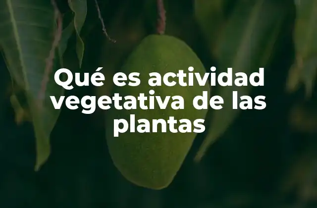 El crecimiento vegetativo como base del desarrollo de la planta