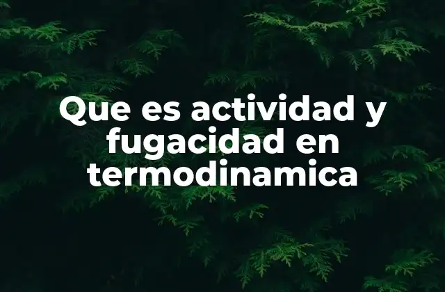 Que es Actividad y Fugacidad en Termodinamica